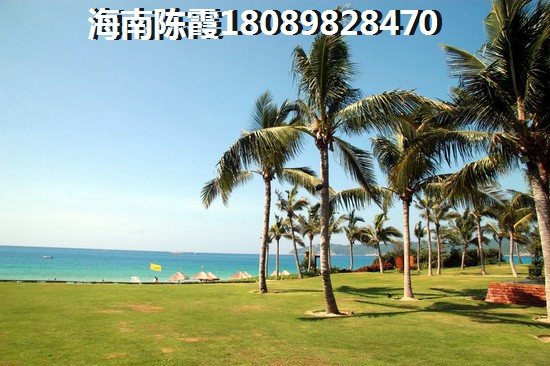 元鸿小区有很大的生纸空间